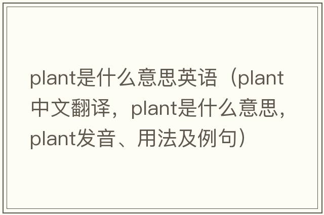 plant是什么意思英語(yǔ)（plant中文翻譯，plant是什么意思，plant發(fā)音、用法及例句）