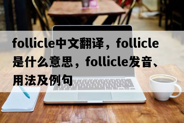 follicle中文翻譯，follicle是什么意思，follicle發(fā)音、用法及例句