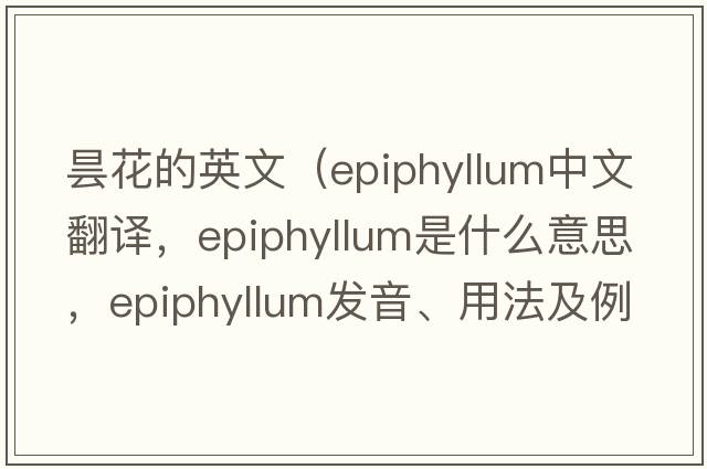 曇花的英文（epiphyllum中文翻譯，epiphyllum是什么意思，epiphyllum發(fā)音、用法及例句）