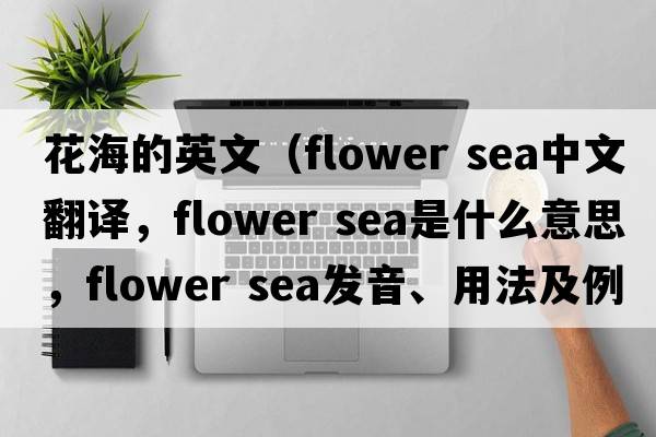 花海的英文（flower sea中文翻譯，flower sea是什么意思，flower sea發(fā)音、用法及例句）