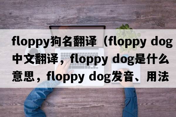 floppy狗名翻譯（floppy dog中文翻譯，floppy dog是什么意思，floppy dog發(fā)音、用法及例句）