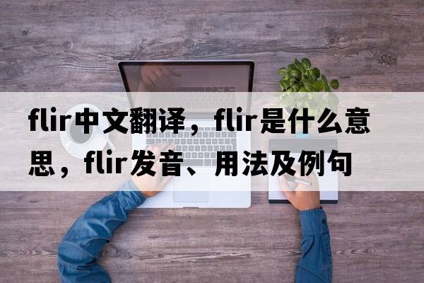flir中文翻譯，flir是什么意思，flir發(fā)音、用法及例句