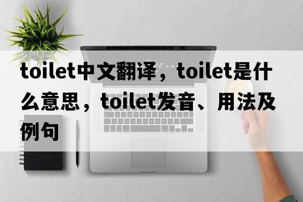 toilet中文翻譯，toilet是什么意思，toilet發(fā)音、用法及例句