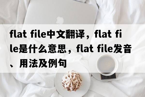 flat file中文翻譯，flat file是什么意思，flat file發(fā)音、用法及例句