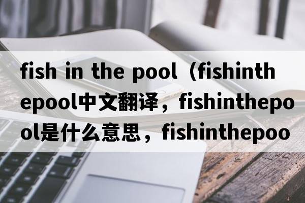 fish in the pool（fishinthepool中文翻譯，fishinthepool是什么意思，fishinthepool發(fā)音、用法及例句）