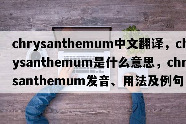 chrysanthemum中文翻譯，chrysanthemum是什么意思，chrysanthemum發(fā)音、用法及例句