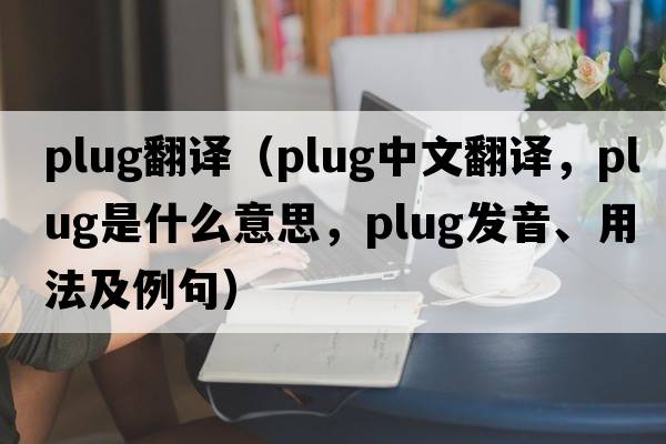 plug翻譯（plug中文翻譯，plug是什么意思，plug發(fā)音、用法及例句）