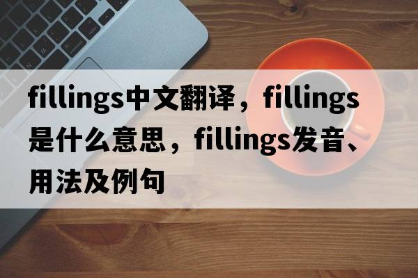 fillings中文翻譯，fillings是什么意思，fillings發(fā)音、用法及例句