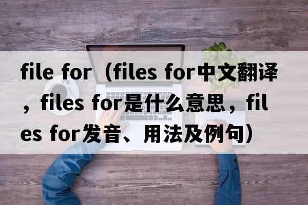 file for（files for中文翻譯，files for是什么意思，files for發(fā)音、用法及例句）