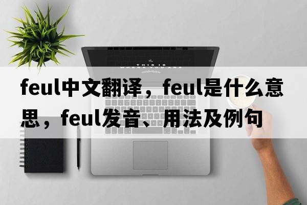 feul中文翻譯，feul是什么意思，feul發(fā)音、用法及例句