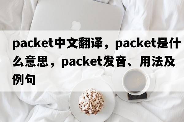 packet中文翻譯，packet是什么意思，packet發(fā)音、用法及例句