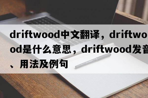 driftwood中文翻譯，driftwood是什么意思，driftwood發(fā)音、用法及例句