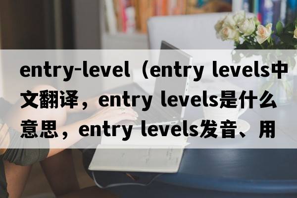 entry-level（entry levels中文翻譯，entry levels是什么意思，entry levels發(fā)音、用法及例句）