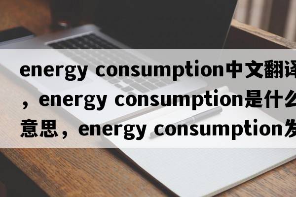 energy consumption中文翻譯，energy consumption是什么意思，energy consumption發(fā)音、用法及例句