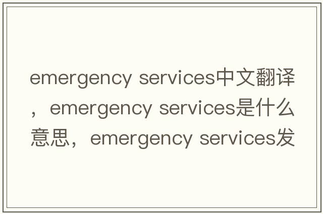 emergency services中文翻譯，emergency services是什么意思，emergency services發(fā)音、用法及例句