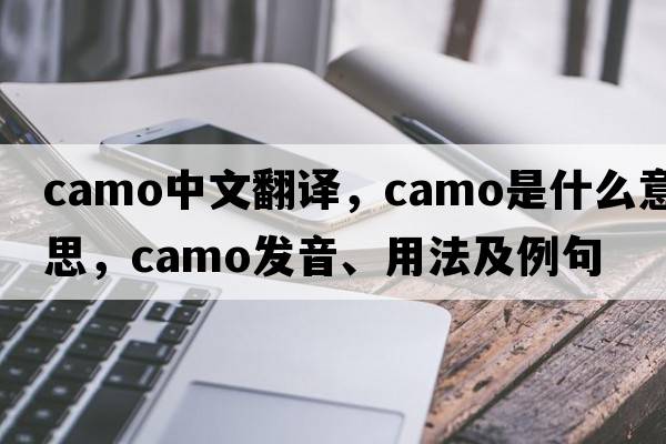 camo中文翻譯，camo是什么意思，camo發(fā)音、用法及例句