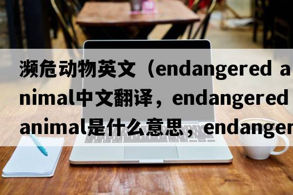 瀕危動(dòng)物英文（endangered animal中文翻譯，endangered animal是什么意思，endangered animal發(fā)音、用法及例句）