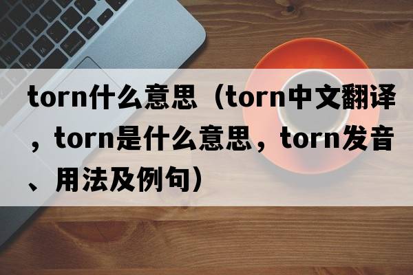 torn什么意思（torn中文翻譯，torn是什么意思，torn發(fā)音、用法及例句）