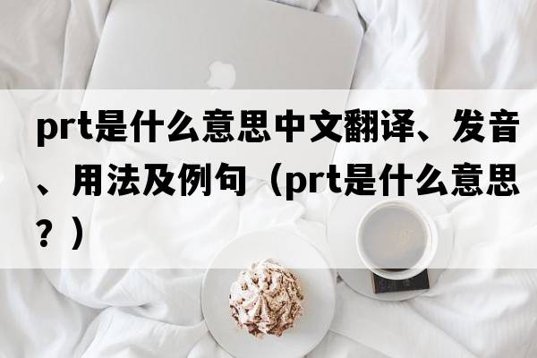 prt是什么意思中文翻譯、發(fā)音、用法及例句（prt是什么意思？）