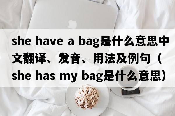 she have a bag是什么意思中文翻譯、發(fā)音、用法及例句（she has my bag是什么意思）