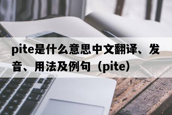 PITE是什么意思中文翻譯、發(fā)音、用法及例句（pite）
