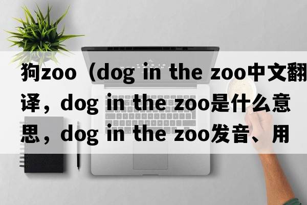 狗zoo（dog in the zoo中文翻譯，dog in the zoo是什么意思，dog in the zoo發(fā)音、用法及例句）