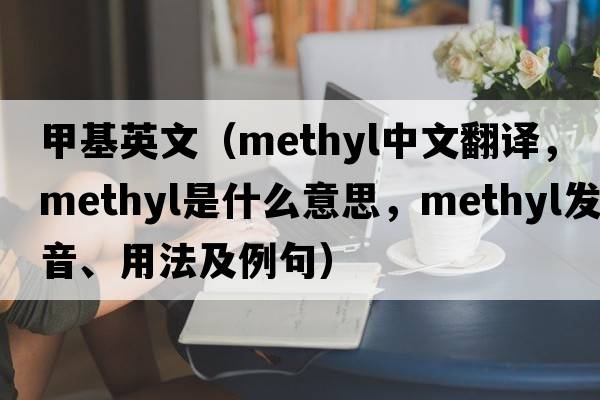 甲基英文（methyl中文翻譯，methyl是什么意思，methyl發(fā)音、用法及例句）