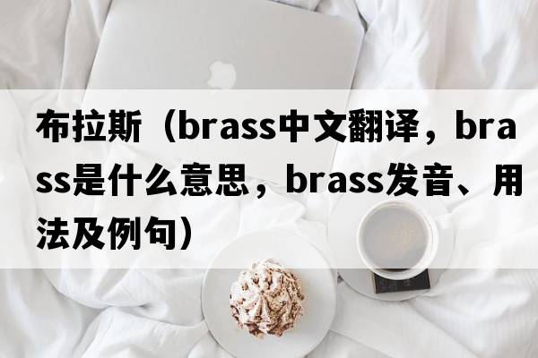 布拉斯（brass中文翻譯，brass是什么意思，brass發(fā)音、用法及例句）