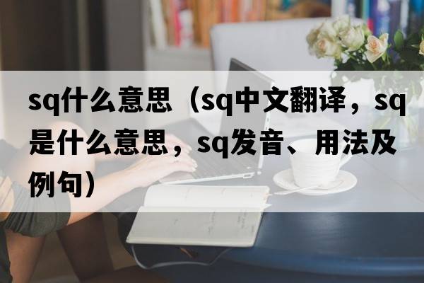 sq什么意思（sq中文翻譯，sq是什么意思，sq發(fā)音、用法及例句）