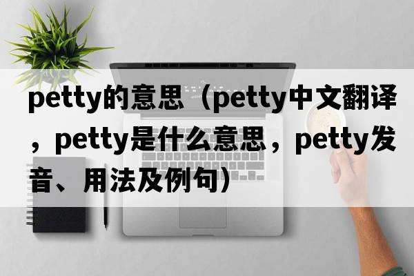 petty的意思（petty中文翻譯，petty是什么意思，petty發(fā)音、用法及例句）