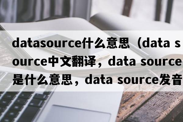 datasource什么意思（data source中文翻譯，data source是什么意思，data source發(fā)音、用法及例句）