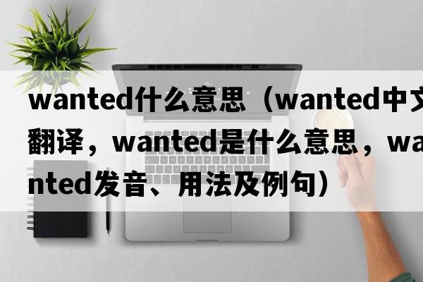 wanted什么意思（wanted中文翻譯，wanted是什么意思，wanted發(fā)音、用法及例句）