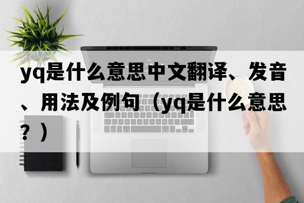 Yq是什么意思中文翻譯、發(fā)音、用法及例句（yq是什么意思？）