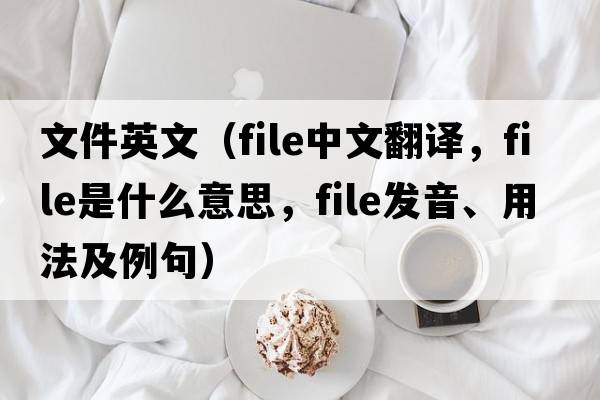 文件英文（file中文翻譯，file是什么意思，file發(fā)音、用法及例句）