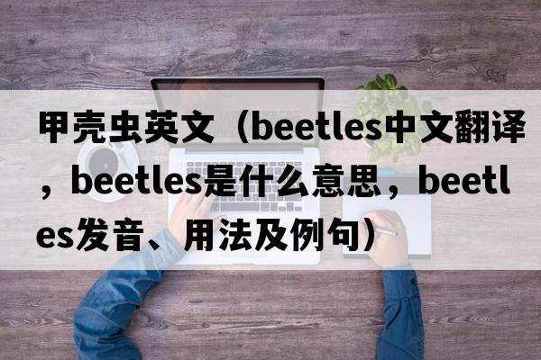 甲殼蟲(chóng)英文（beetles中文翻譯，beetles是什么意思，beetles發(fā)音、用法及例句）