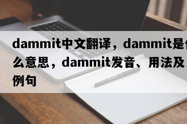 dammit中文翻譯，dammit是什么意思，dammit發(fā)音、用法及例句