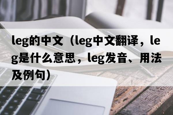 leg的中文（leg中文翻譯，leg是什么意思，leg發(fā)音、用法及例句）