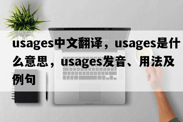 usages中文翻譯，usages是什么意思，usages發(fā)音、用法及例句