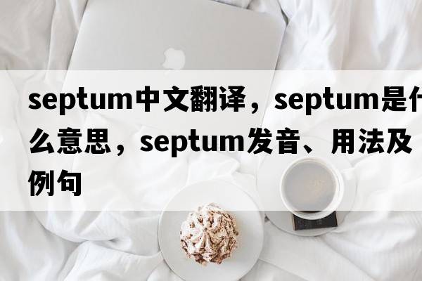 septum中文翻譯，septum是什么意思，septum發(fā)音、用法及例句