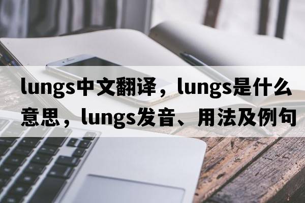 lungs中文翻譯，lungs是什么意思，lungs發(fā)音、用法及例句