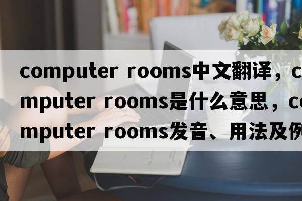 computer rooms中文翻譯，computer rooms是什么意思，computer rooms發(fā)音、用法及例句