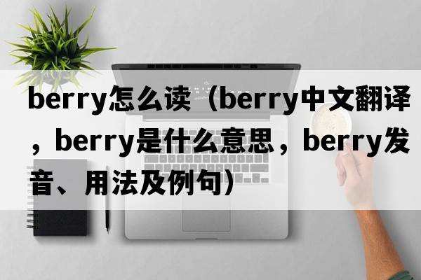 berry怎么讀（berry中文翻譯，berry是什么意思，berry發(fā)音、用法及例句）
