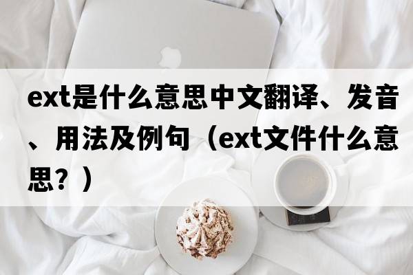 ext是什么意思中文翻譯、發(fā)音、用法及例句（ext文件什么意思？）