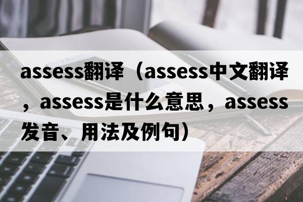 assess翻譯（assess中文翻譯，assess是什么意思，assess發(fā)音、用法及例句）