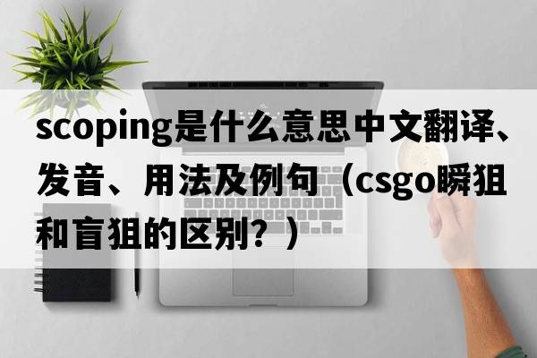 scoping是什么意思中文翻譯、發(fā)音、用法及例句（csgo瞬狙和盲狙的區別？）
