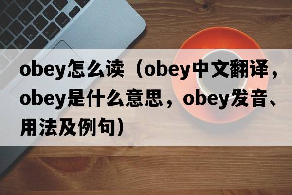 obey怎么讀（obey中文翻譯，obey是什么意思，obey發(fā)音、用法及例句）