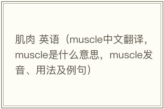 肌肉 英語(yǔ)（muscle中文翻譯，muscle是什么意思，muscle發(fā)音、用法及例句）