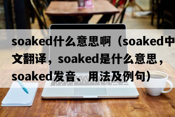 soaked什么意思?。╯oaked中文翻譯，soaked是什么意思，soaked發(fā)音、用法及例句）