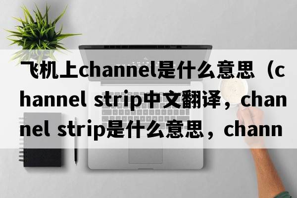 飛機上channel是什么意思（channel strip中文翻譯，channel strip是什么意思，channel strip發(fā)音、用法及例句）
