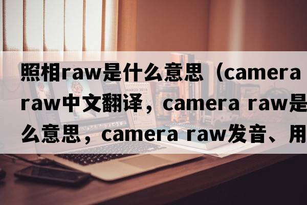 照相raw是什么意思（camera raw中文翻譯，camera raw是什么意思，camera raw發(fā)音、用法及例句）